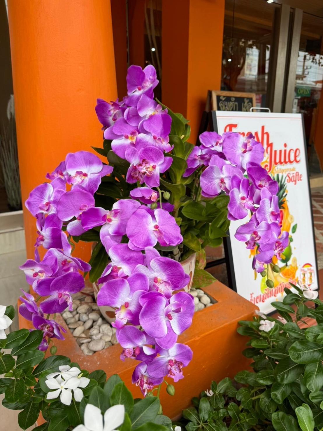 Venice Hotel Hua Hin Dış mekan fotoğraf